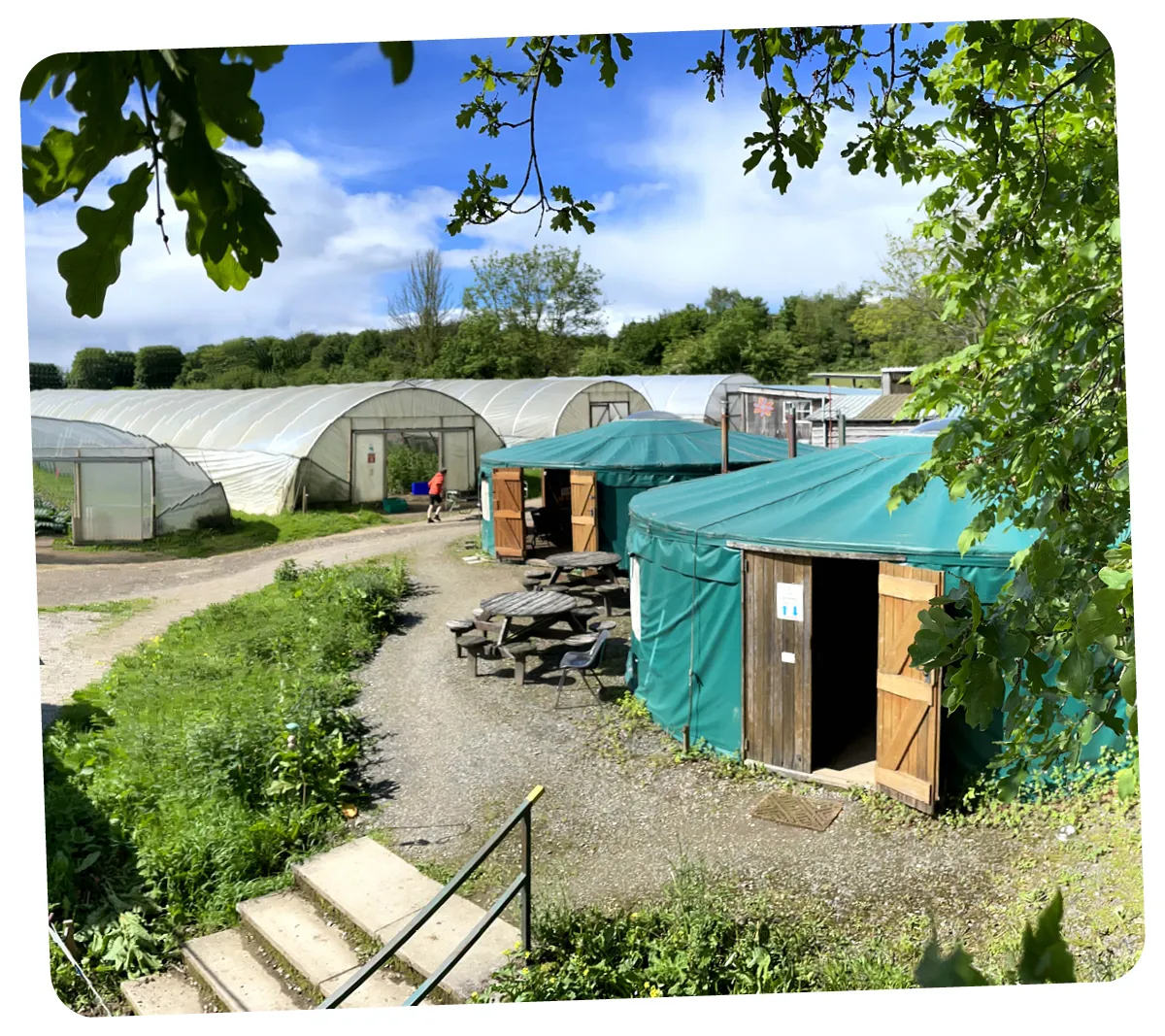 Growing-Well-Kendal-Overview-2