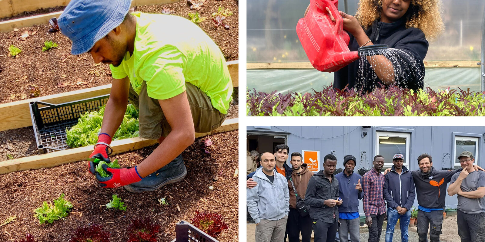 Growing-Well-North-Cumbria-Asylum-Seekers